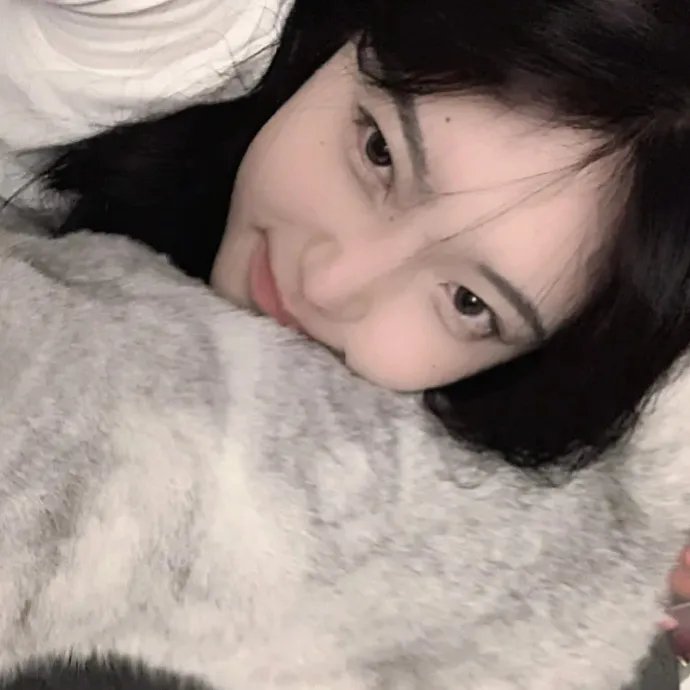 卧底费瑞的故事